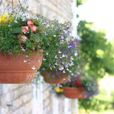 Crossways Hotel Wells Kültér fotó Flower pots